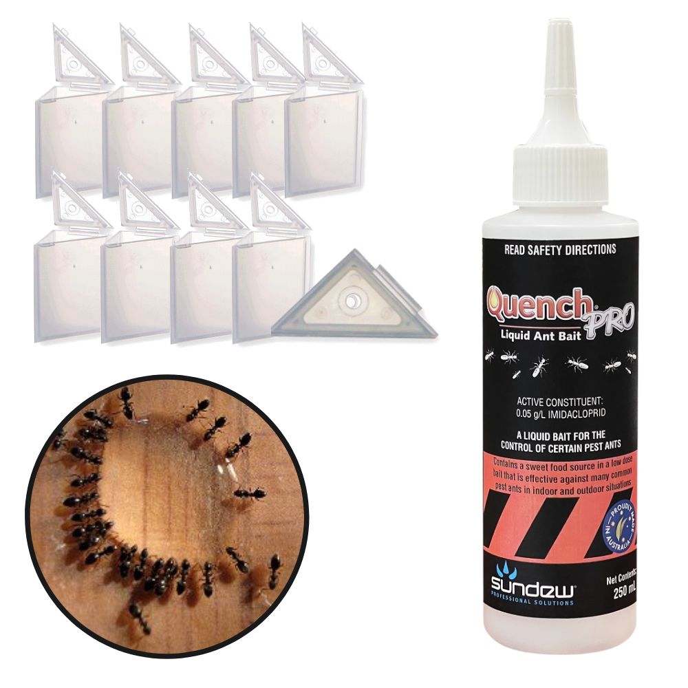 Black Ant Control Kit - Basic