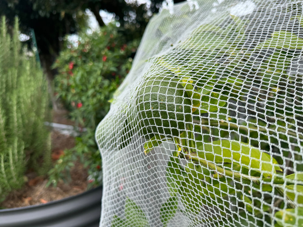 Viper Fruit Tree Net