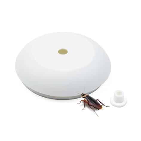 Cockroach Bait Station