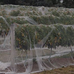 White Diamond Bird Netting 200m x 17m - Pestrol Australia