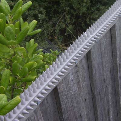 Cat fence spikes best sale