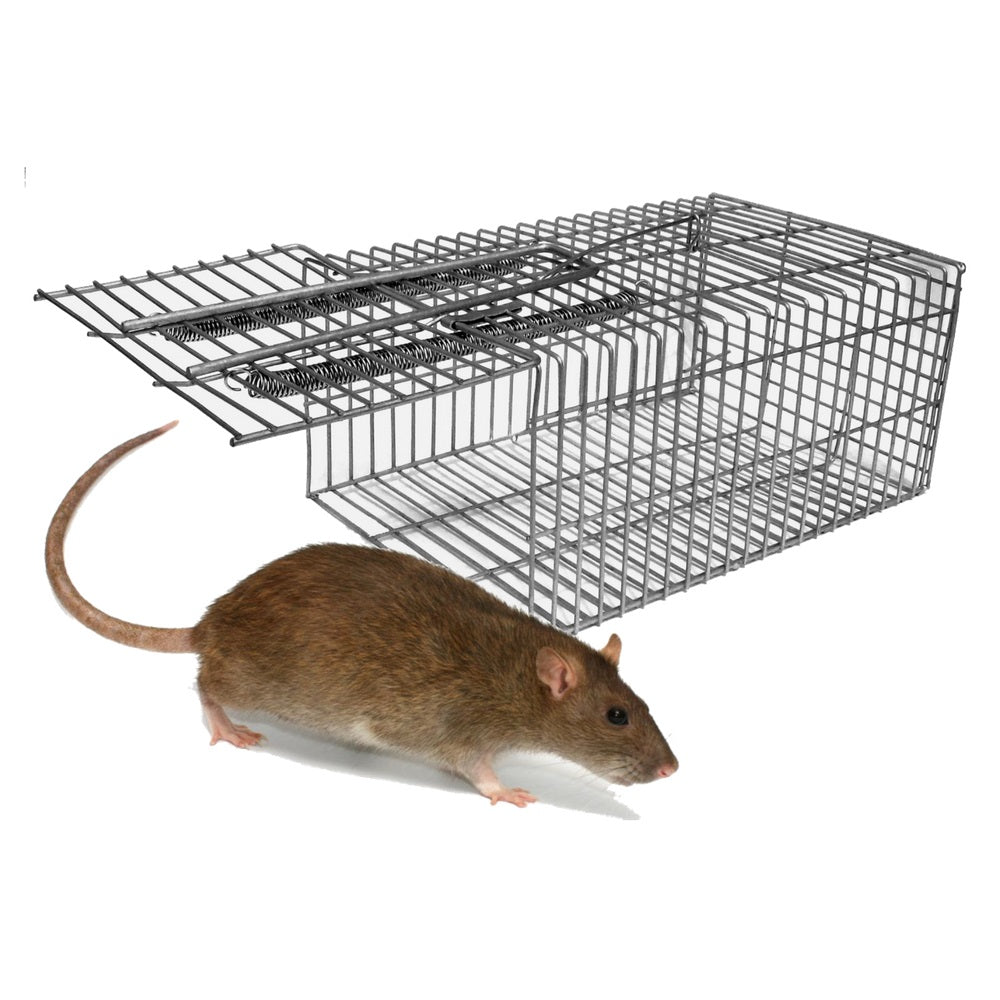 Humane Rat Mouse Trap | Live Catch Trap | BUY ONLINE – Easypestsupplies