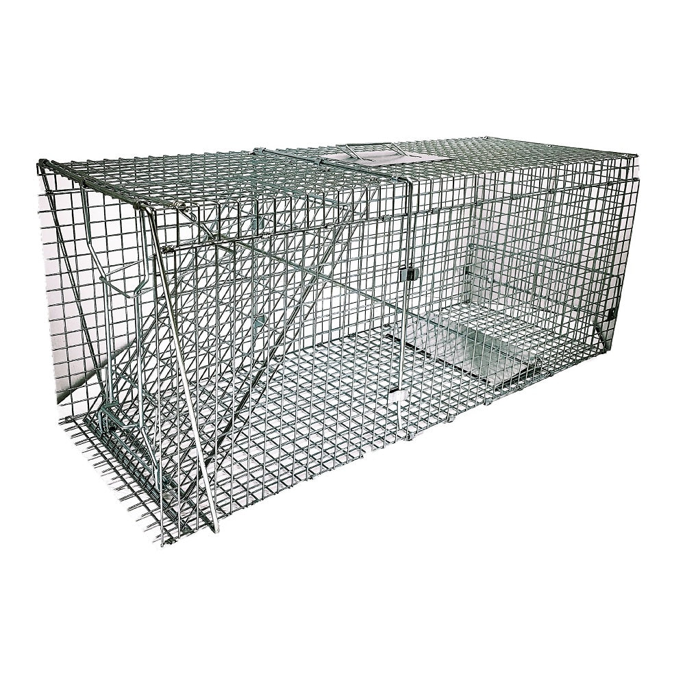 Large Animal Trap for Trapping Dogs Cats Foxes etc | BUY ONLINE ...