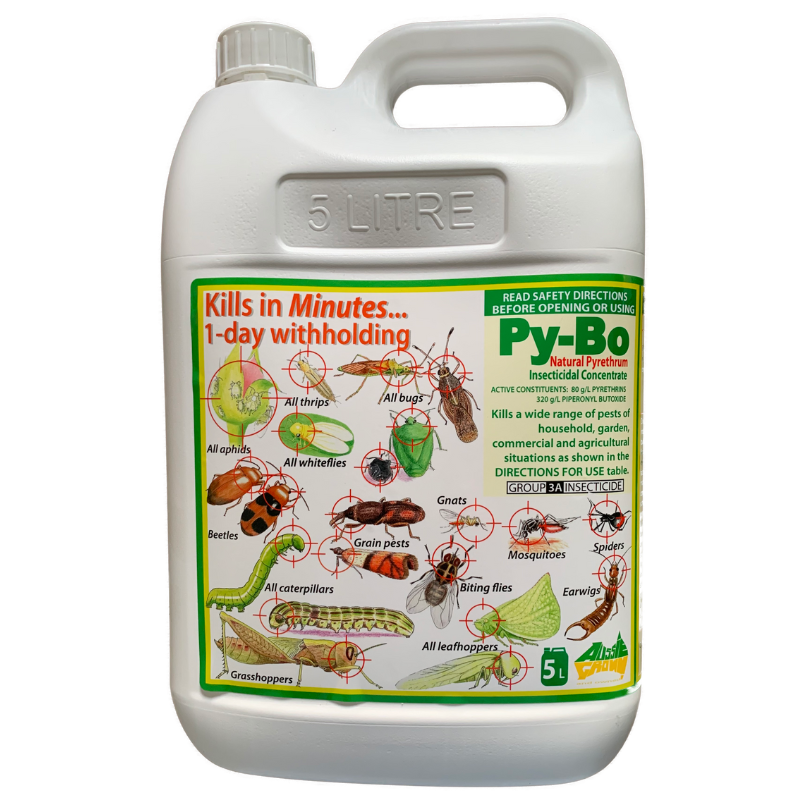 Py-Bo Natural Pyrethrum Concentrate 5 litre